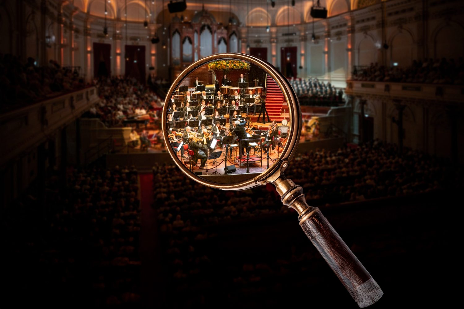 Op Ontdekking: Wat is een (klassiek) orkest? - Concertgebouw - Nederlands
