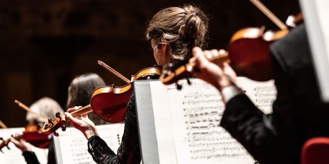 Nederlands Philharmonisch Orkest Melle Meivogel web