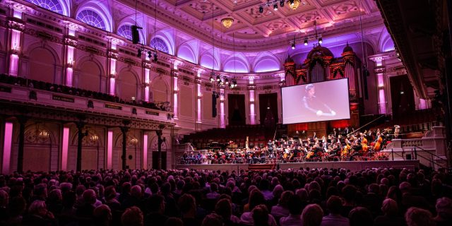 Dividendconcert header mellemeivogel