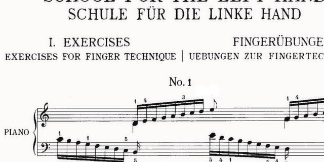 Wittgenstein ontdek