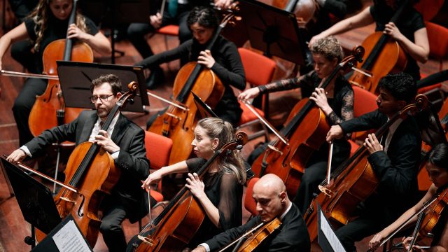 Daniel Barenboim en West Eastern Divan Orchestra c Eduardus Lee web 10
