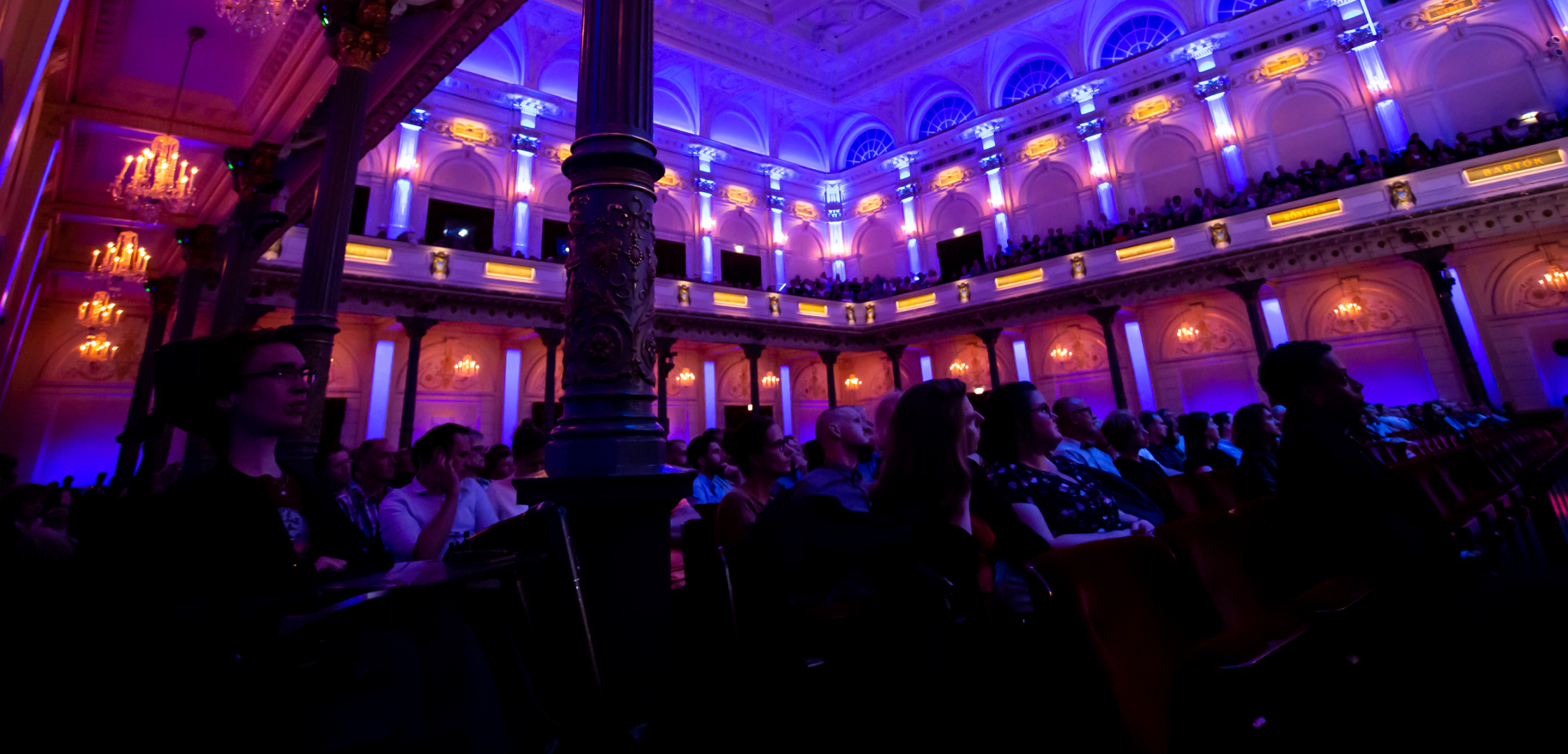 LOTR beeld © Ronald Knapp