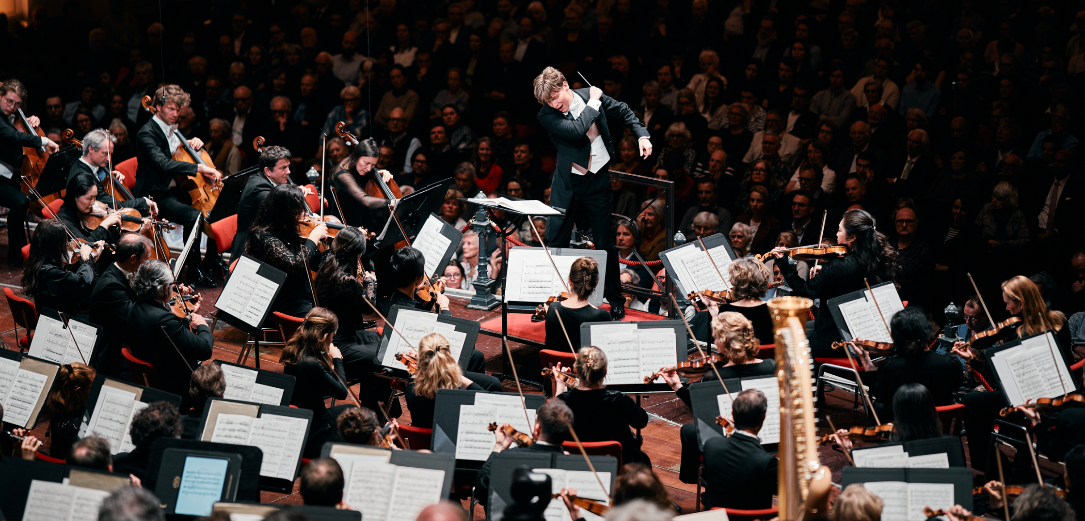 Rco makela beynon podyomov © Eduardus Lee