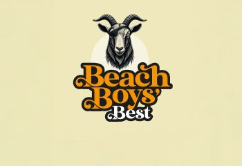 Beach Boys Best web