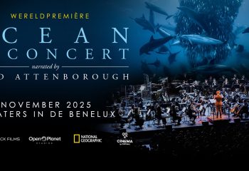 Ocean in Concert