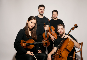 Opus 13
