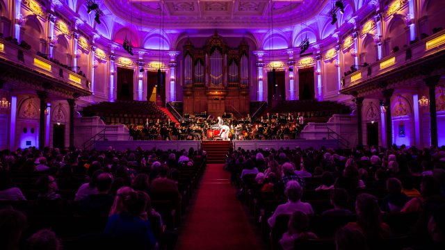 Symfonie voor wiebelkonten 45 Melle Meivogel 1
