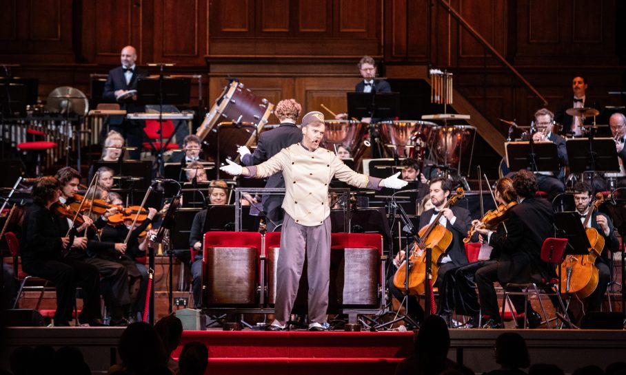 Symfonie voor wiebelkonten 37 Melle Meivogel 1